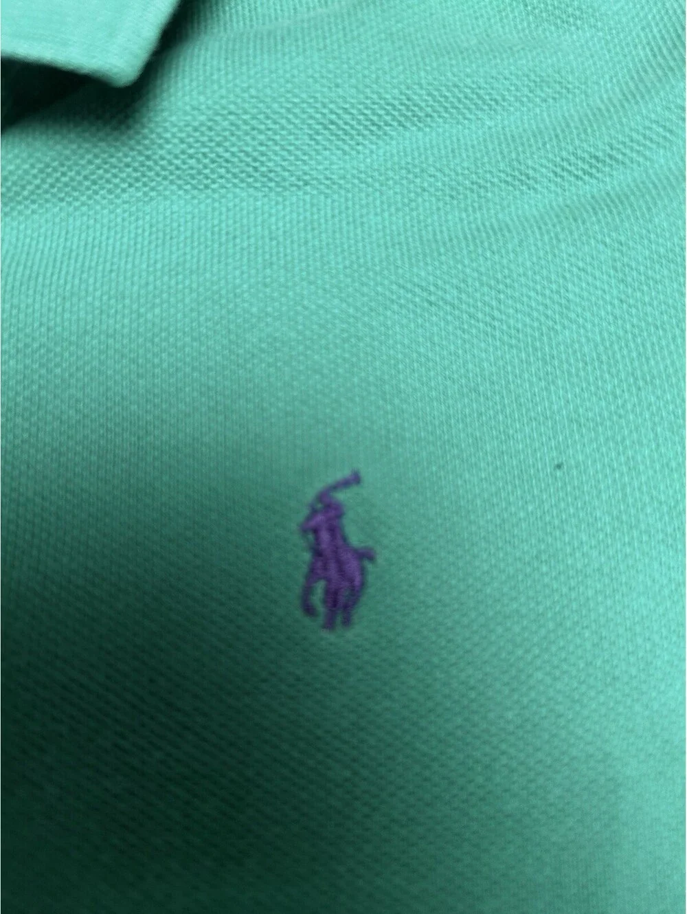 Ralph Lauren Vintage Silver/Blue Label Light Green Polo Purple Horse Boys Size 6